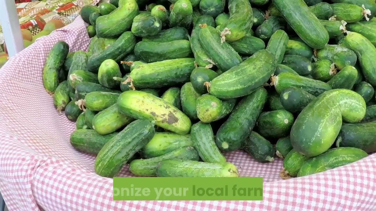 food packaging how to reduce waste uk female