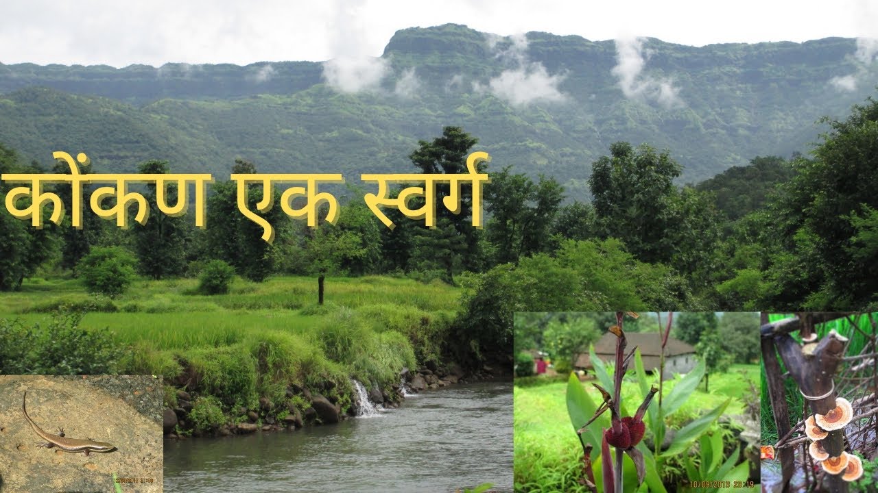 कोंकण एक स्वर्ग II Most beautiful photo of konkan.