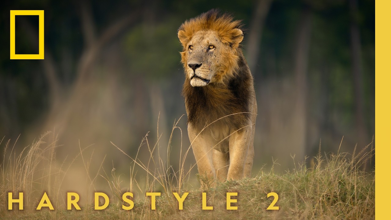 Nat Geo x HARDSTYLE 2 &nbsp;- Fred again.., KETTAMA, Shady Nasty