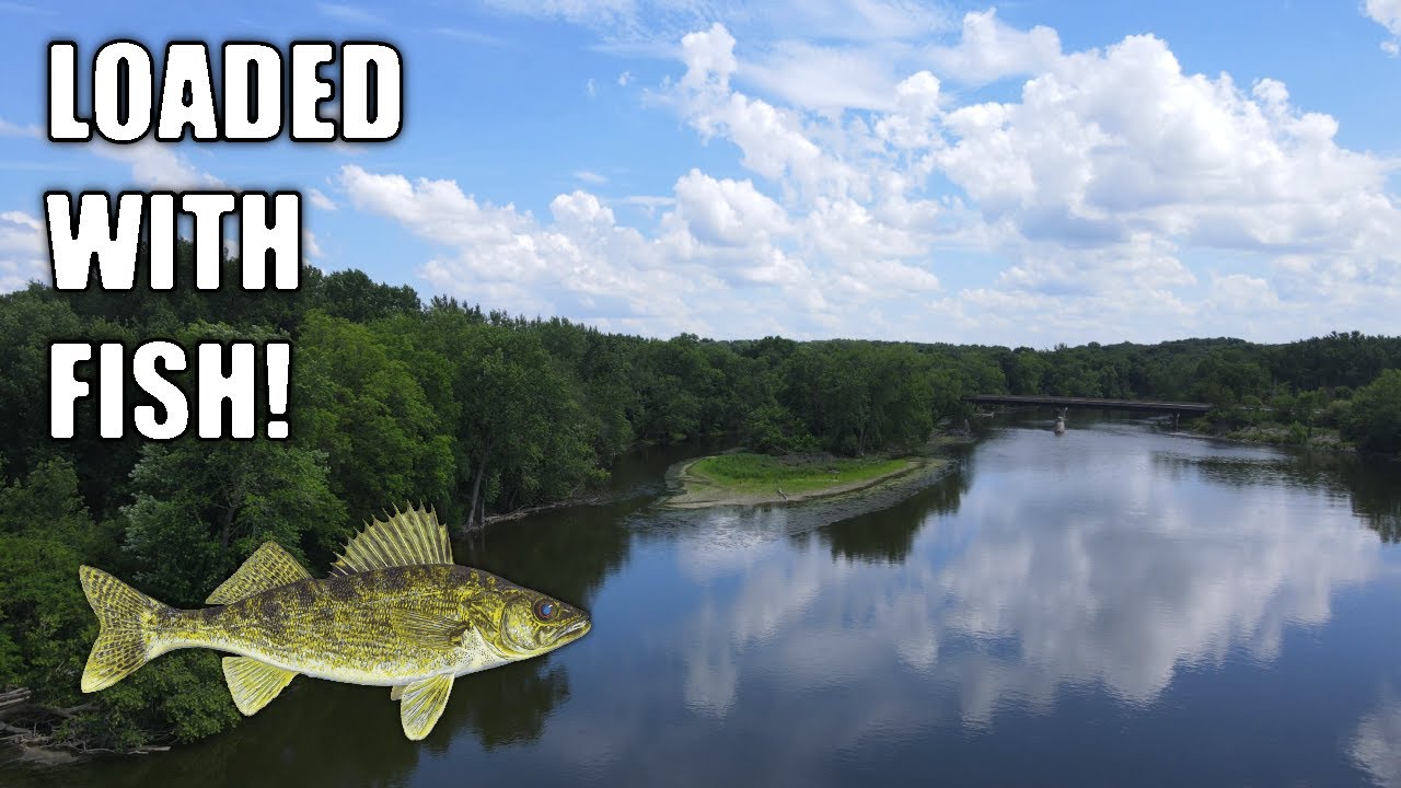 This Place Was LOADED! - Fishing an Illinois River in the Summer HEAT (Good Mixed Bag!)
