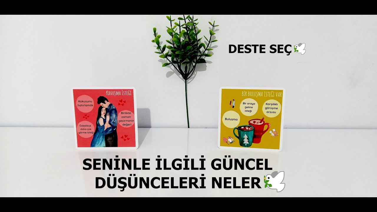 DESTE SEÇ 🕊️ONUN SENİNLE İLGİLİ GÜNCEL DÜŞÜNCELERİ NELER 🕊️