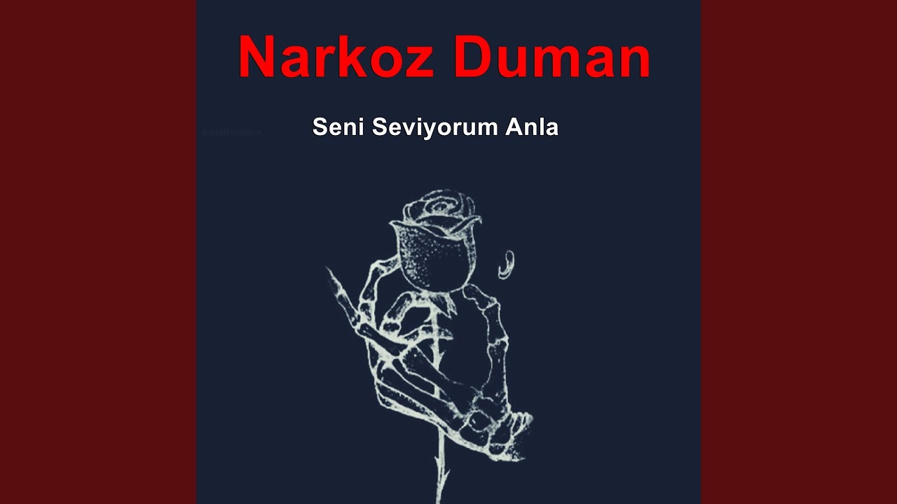 Seni Seviyorum Anla
