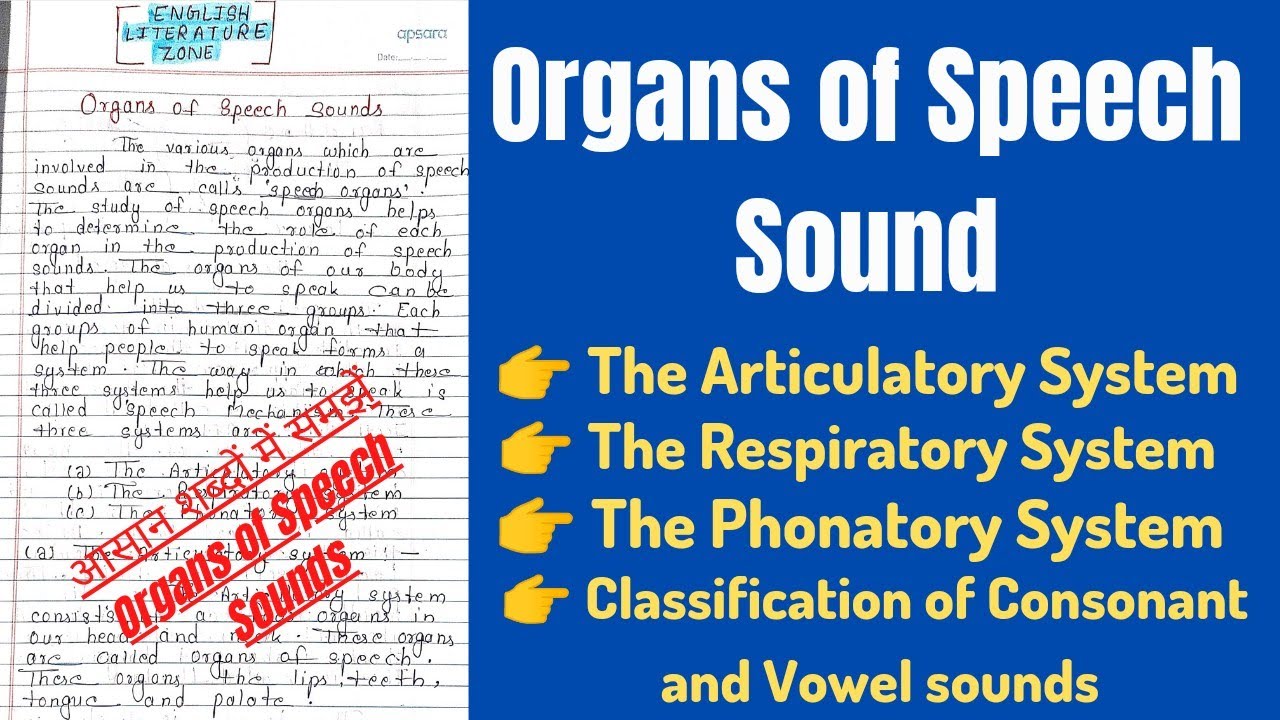 Speech organs in Phonetics | Organs of Speech Sounds | Organs of Speech in English Phonetics
