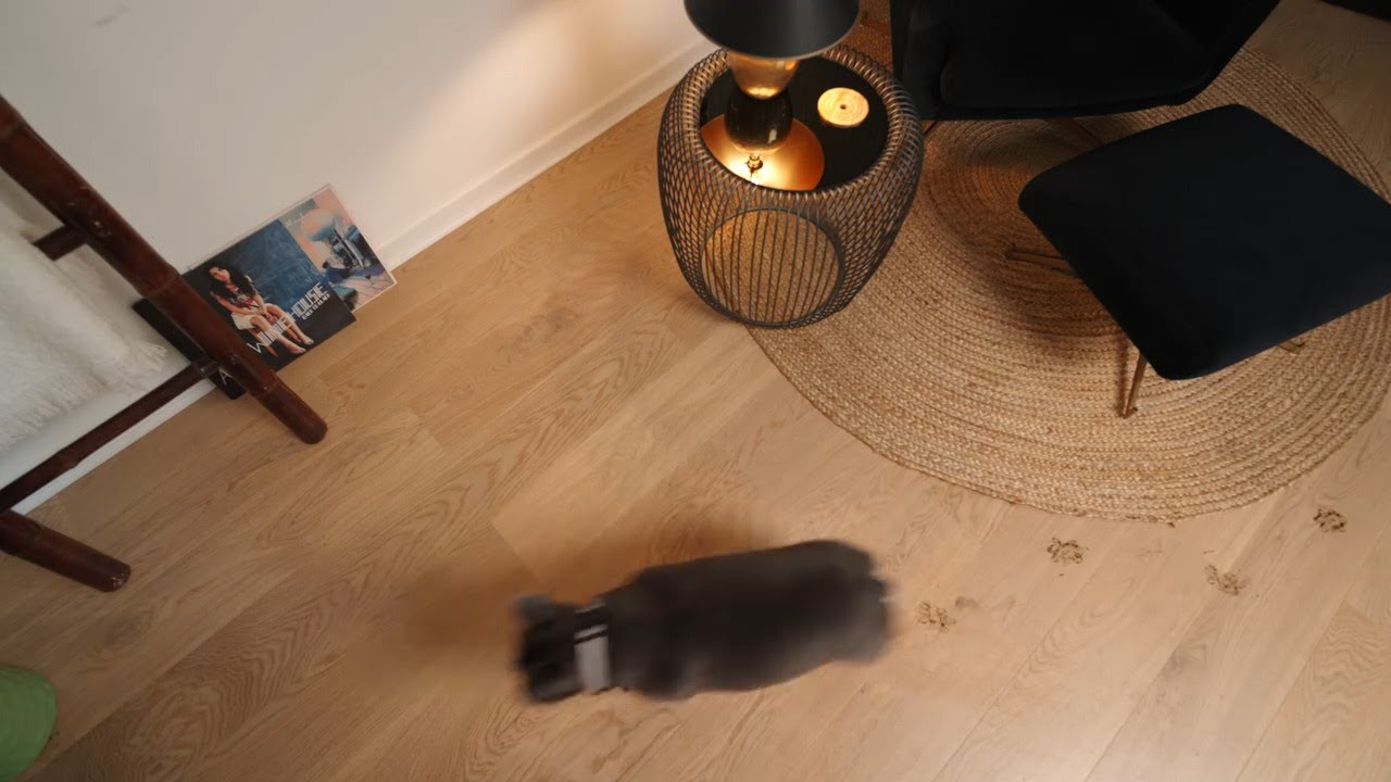 The Bona Pet System