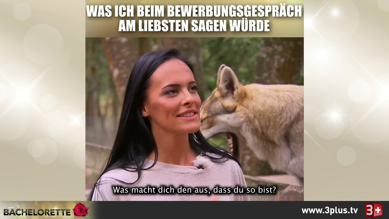 Unsere besten Bachelorette-Memes der 5. Staffel