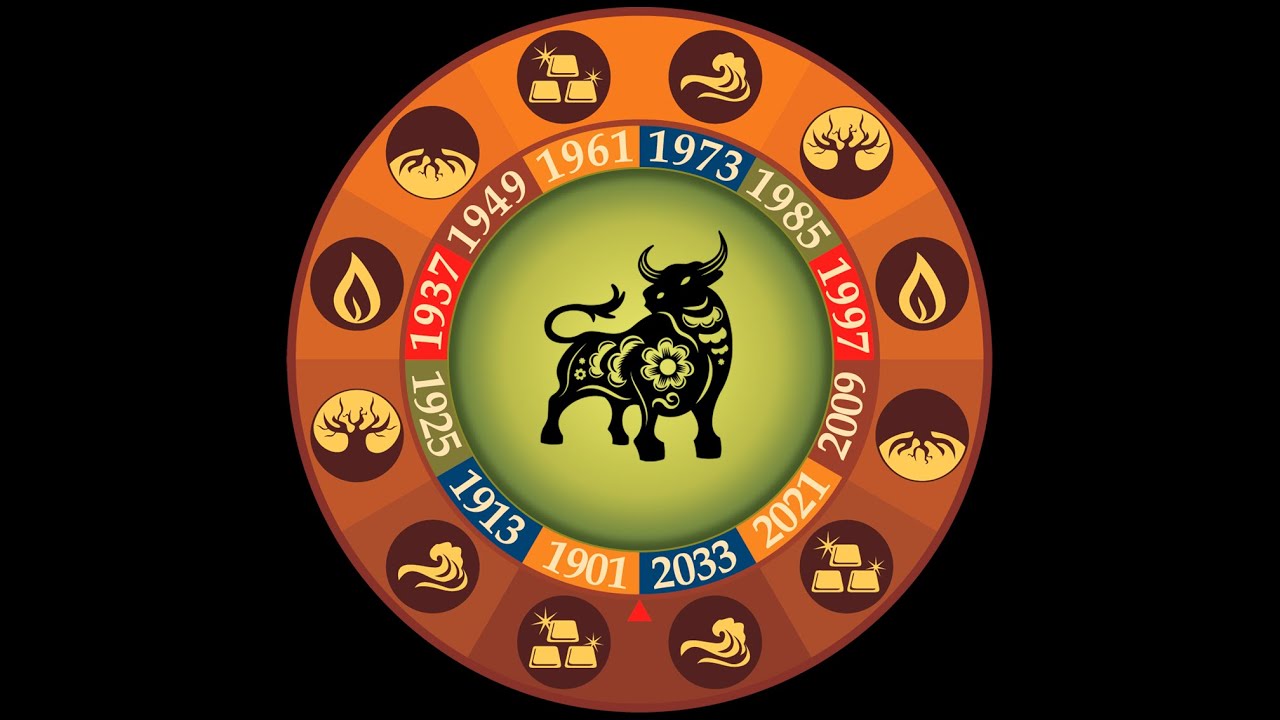 HORÓSCOPO CHINO 2024 - SIGNO DEL BUEY