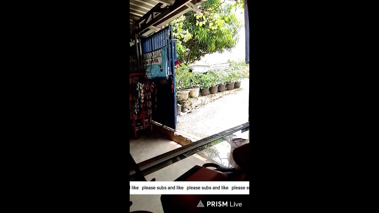 musik santai jaga toko
