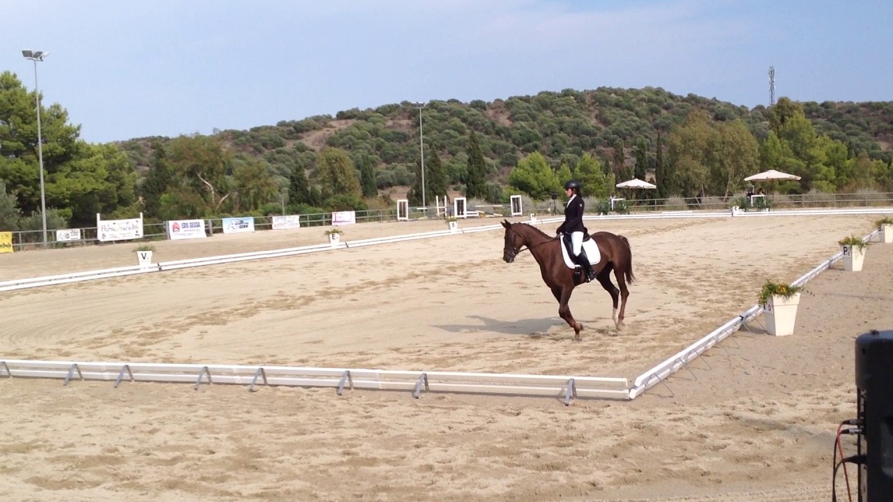 CAMPIONATI REGIONALI DRESSAGE 2016 presso C.I. BOSCOVIVO settembre 2016