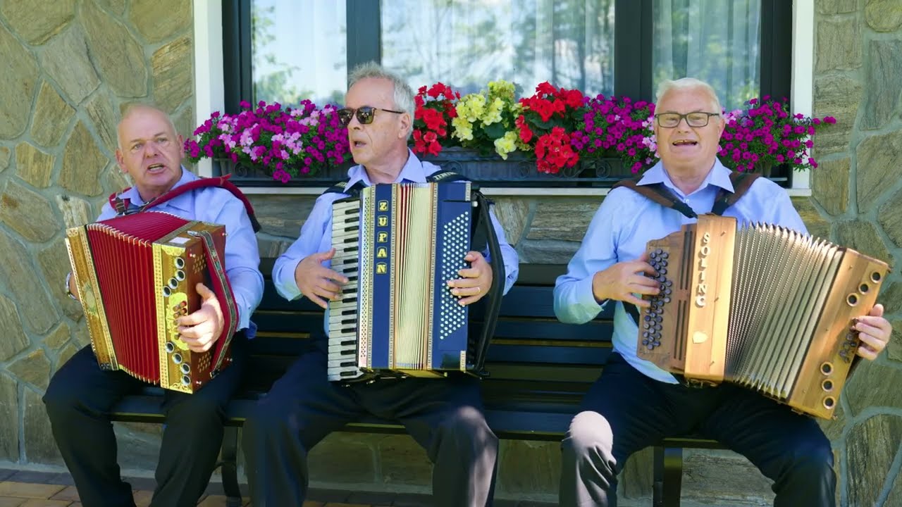 VINGOSI - Vižar