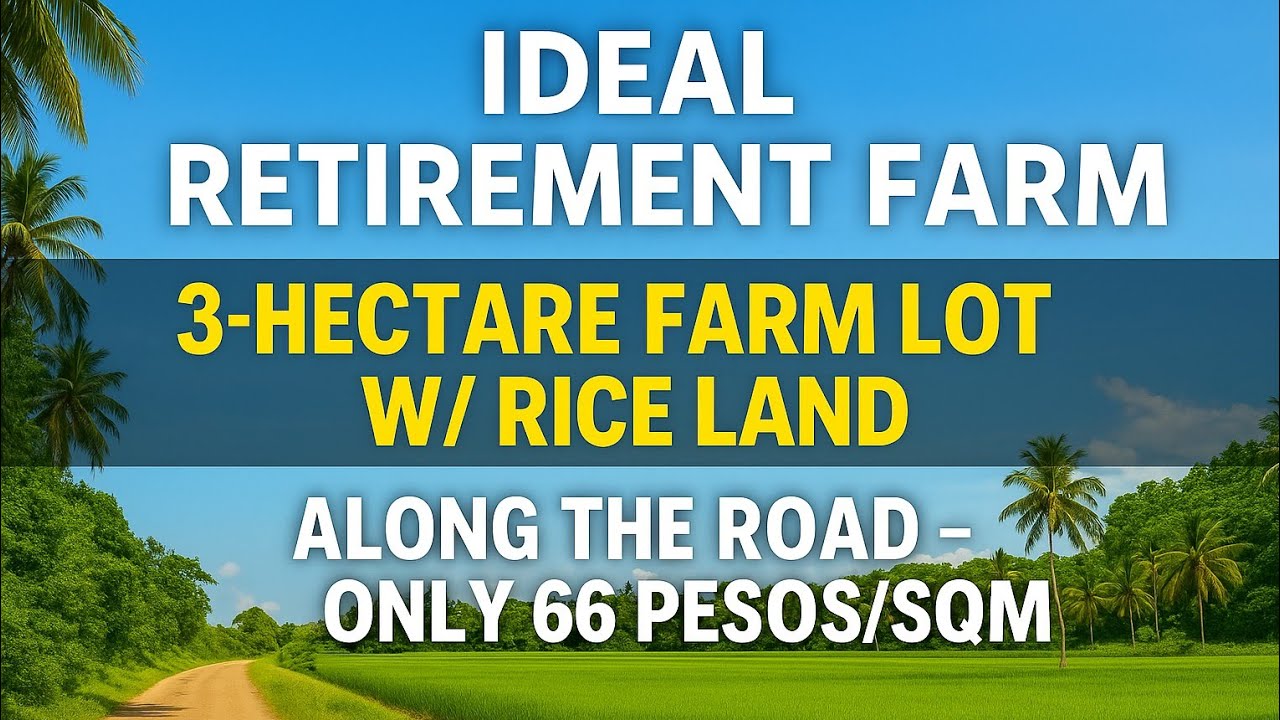 (Vlog#111) 3-Hectare farm lot w/ Rice land. Along the road for only 66 pesos per sqm!