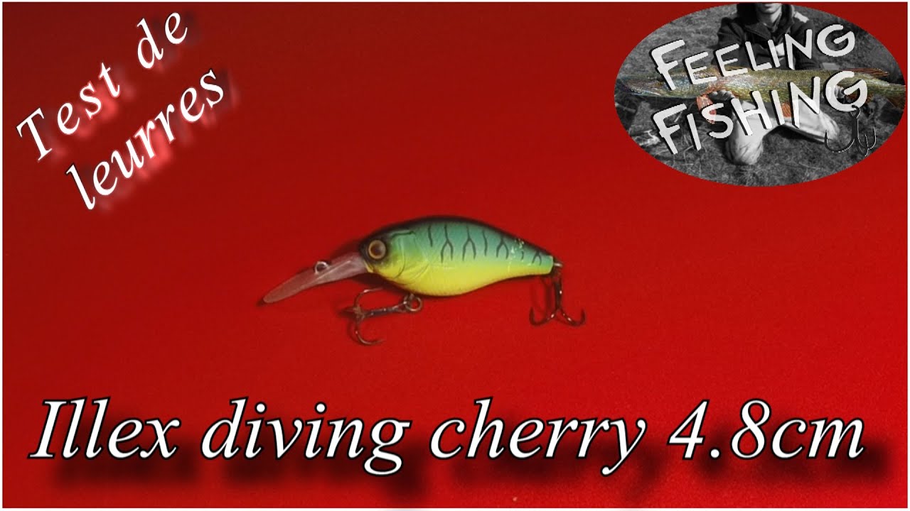 Test de leurres (carna) :  Illex diving cherry 4.8cm - Gopro HD