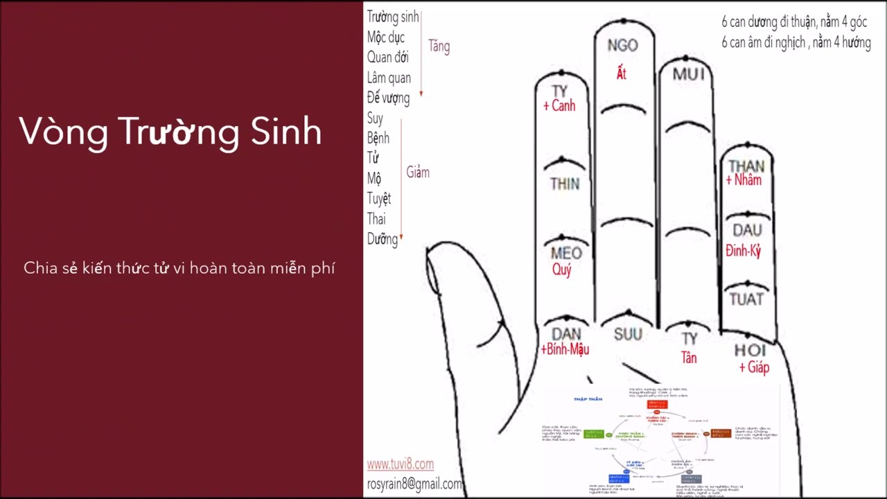 Vòng Trường Sinh Trong Tử Vi ( Vòng Tràng Sinh )