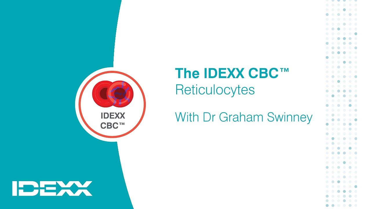 The IDEXX CBC - Reticulocytes with Dr Graham Swinney