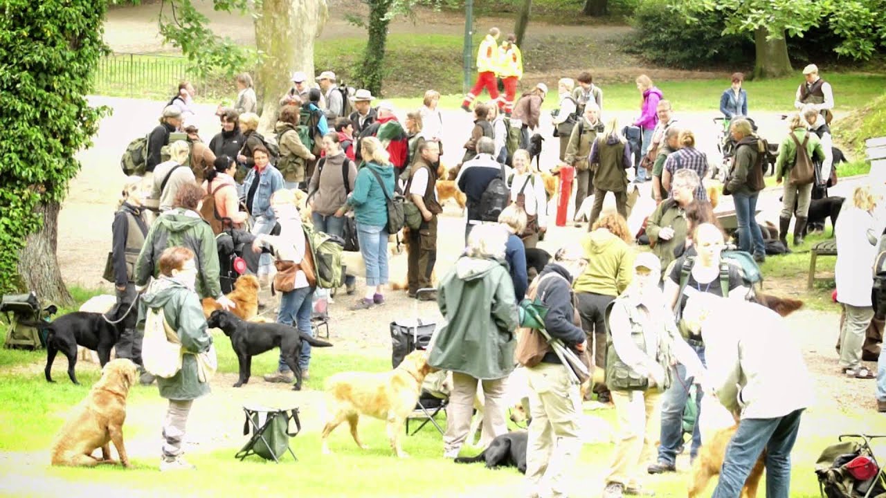 50 Jahre Deutscher Retriever Club - Jubiläums Workingtest und Ausstellung Teil 2