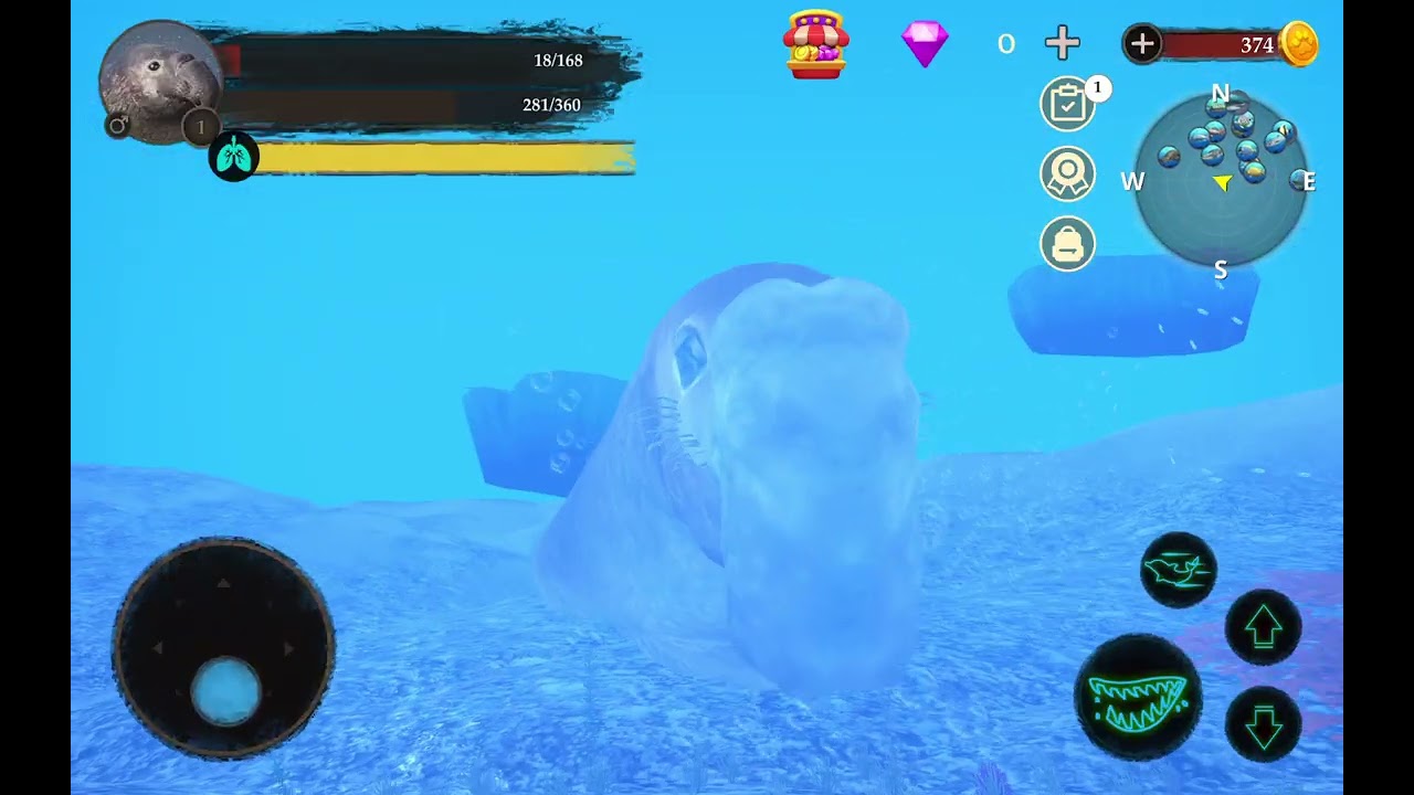 Vida de um Elefante Marinho