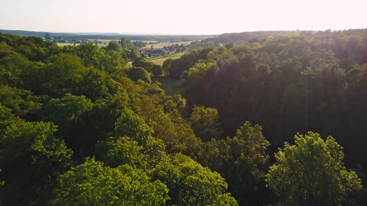 Espaces naturels sensibles en Loire-Anjou-Touraine : la Pomardière