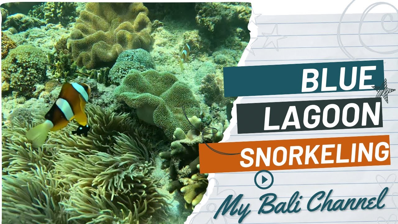 Snorkelling at Blue Lagoon