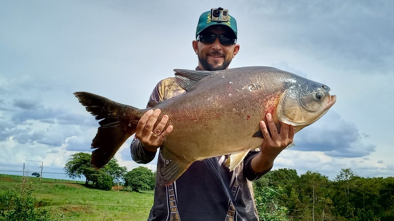 CARANHA REBOCOU O CAIAQUE.  #pesca #pescaria #pescacomestilingue #pescador #estilingue