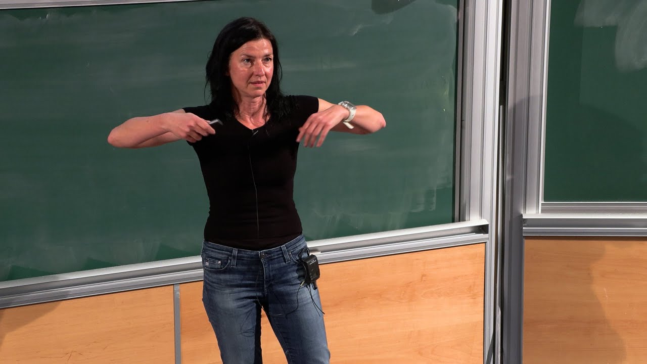 Mina Aganagic - Homological Mirror Symmetry and Quantum Link Invariants
