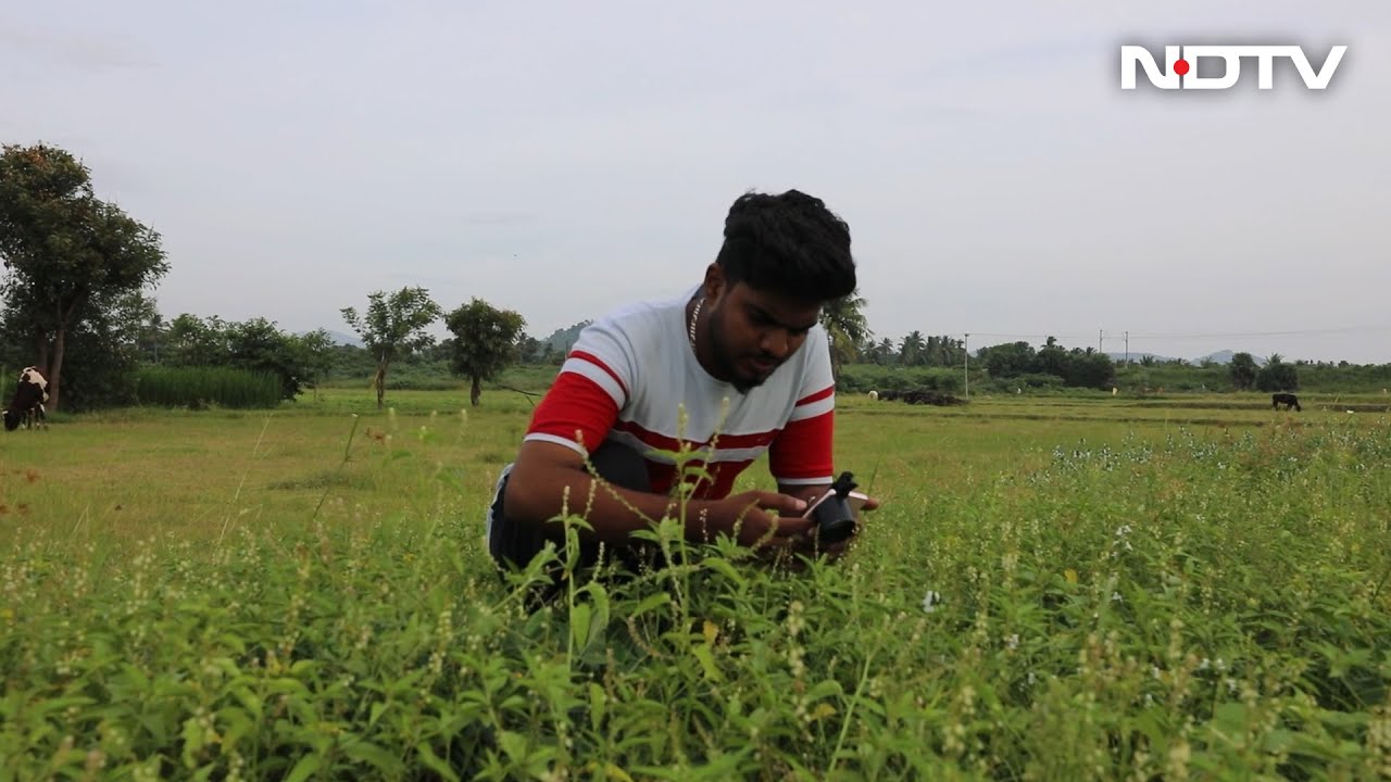 How a Smartphone Helped a Photographer | Cell Guru