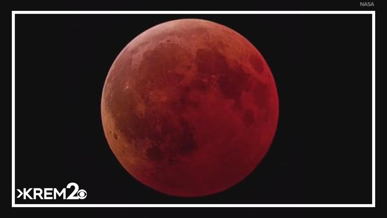 Rare 'blood moon' rises early Tuesday. Here's how to watch