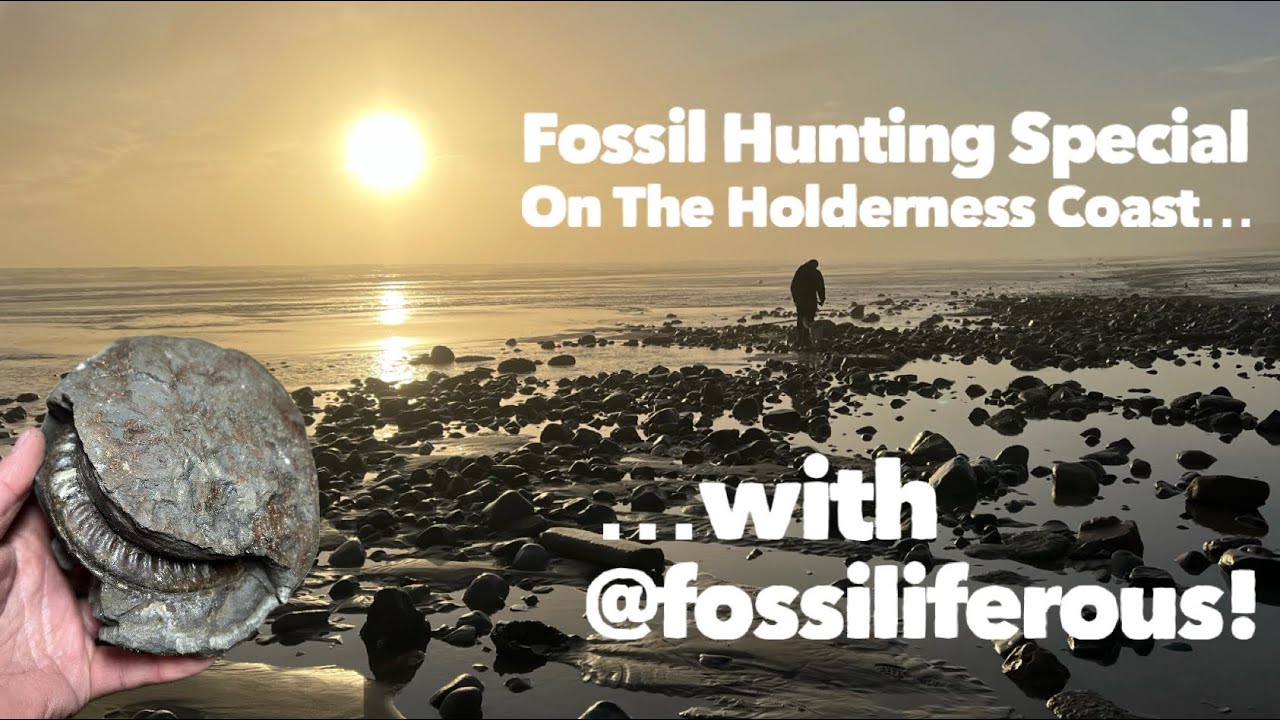 Fossil hunting special! I’m joined on the Holderness Coast by @fossiliferous for an epic fossil hunt
