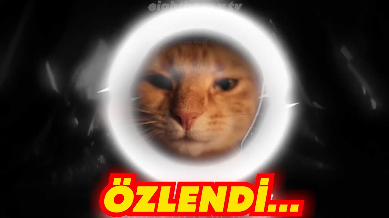 ELRAENN'E 