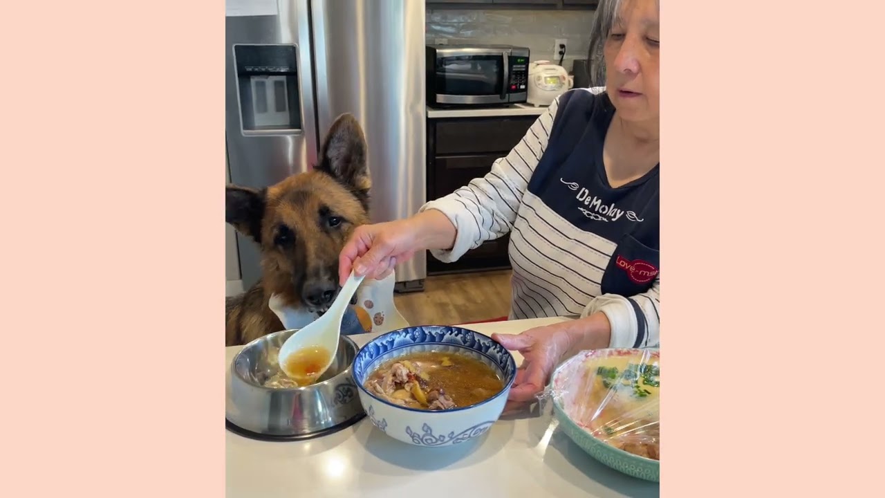 What My German Shepherd Eats in a Chinese Household