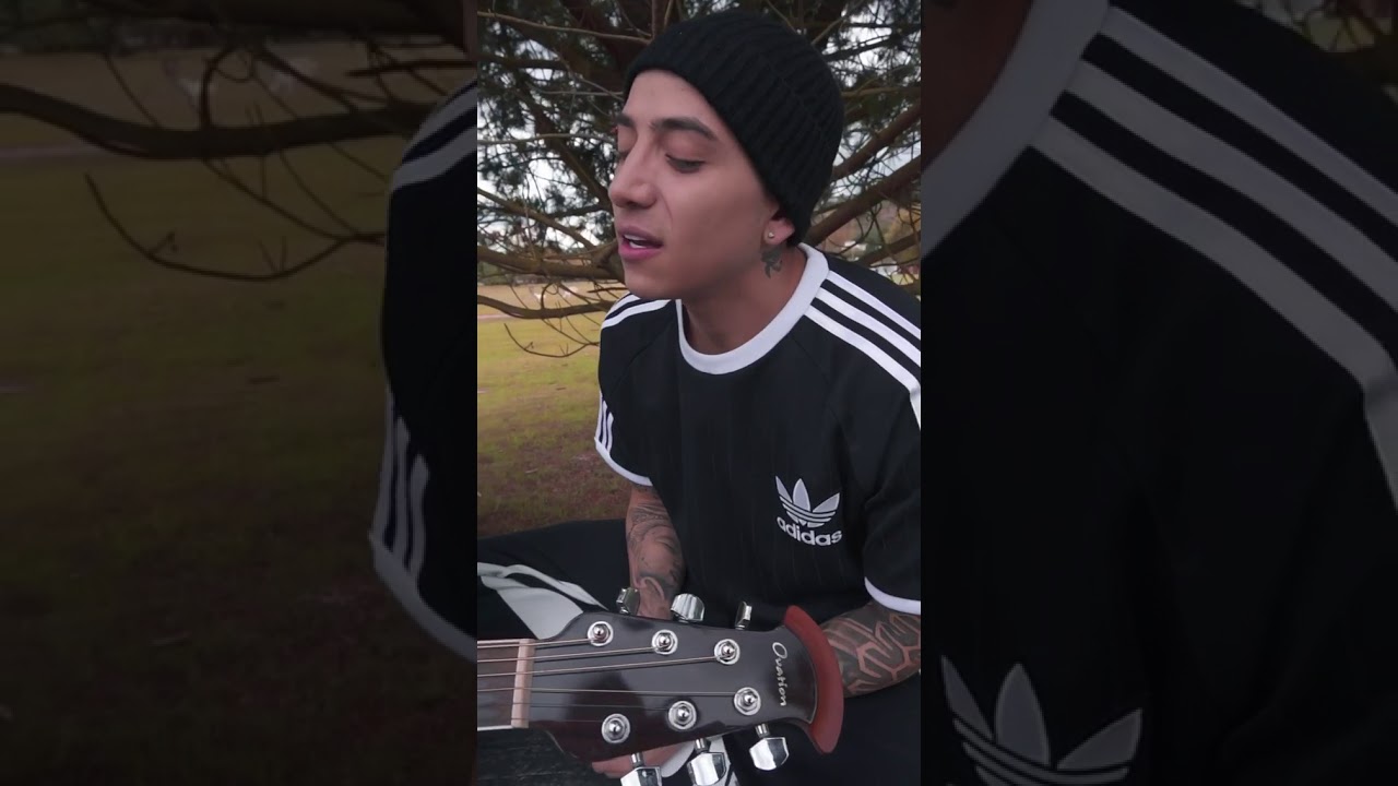 Felicidad - Gondwana ( Cover Andy Rivera) Acustico