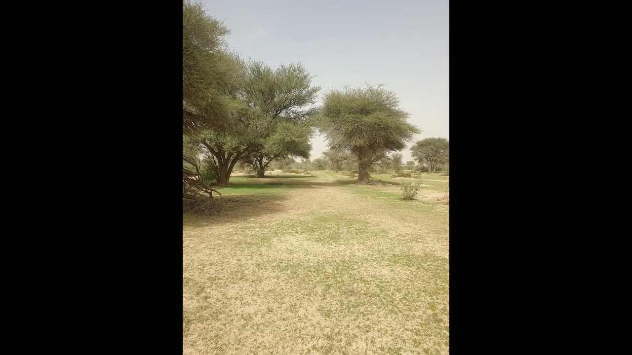 ربيع روضة خريم ٢٥ جماد الآخر ١٤٤٣