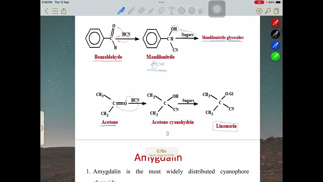 Cyanogenic glycosides || Third stage (1st course)