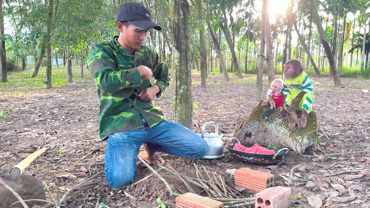 Too Cute! CUTIS and Baby Monkey Convince Dad to Cook Outside