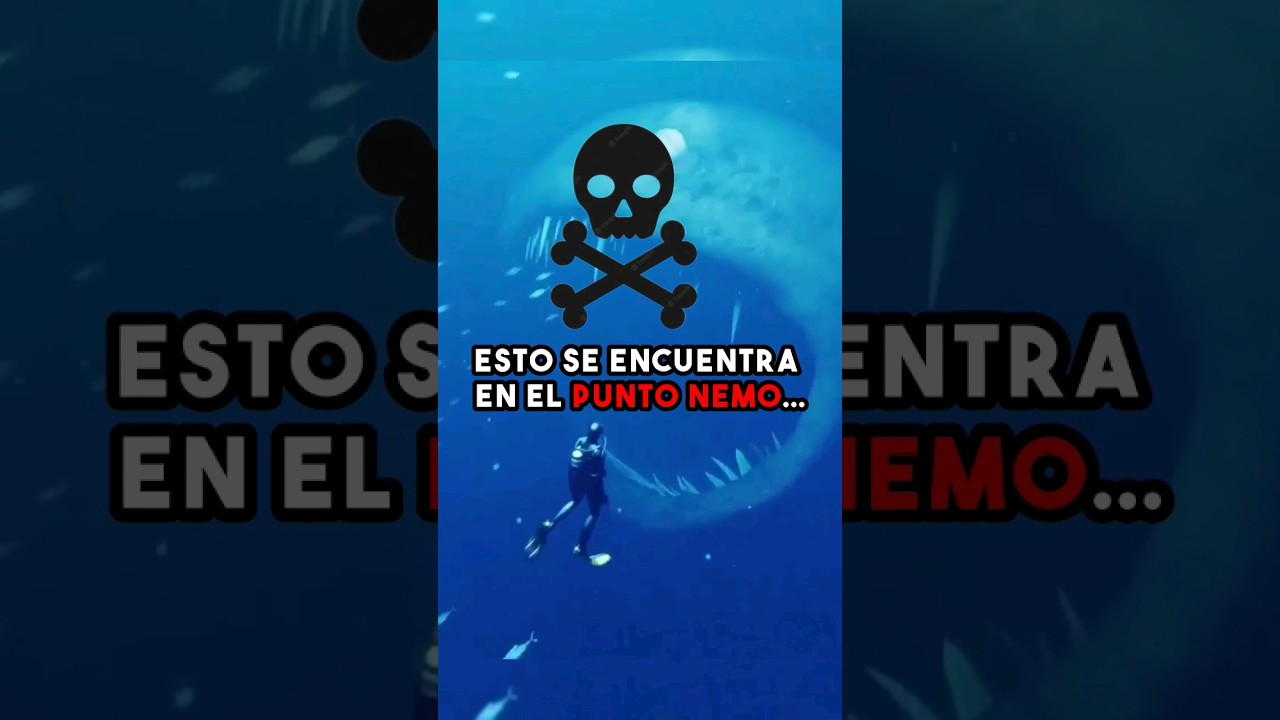 Esto se encuentra en el punto nemo😱🤯#puntonemo#asombroso#misterio
