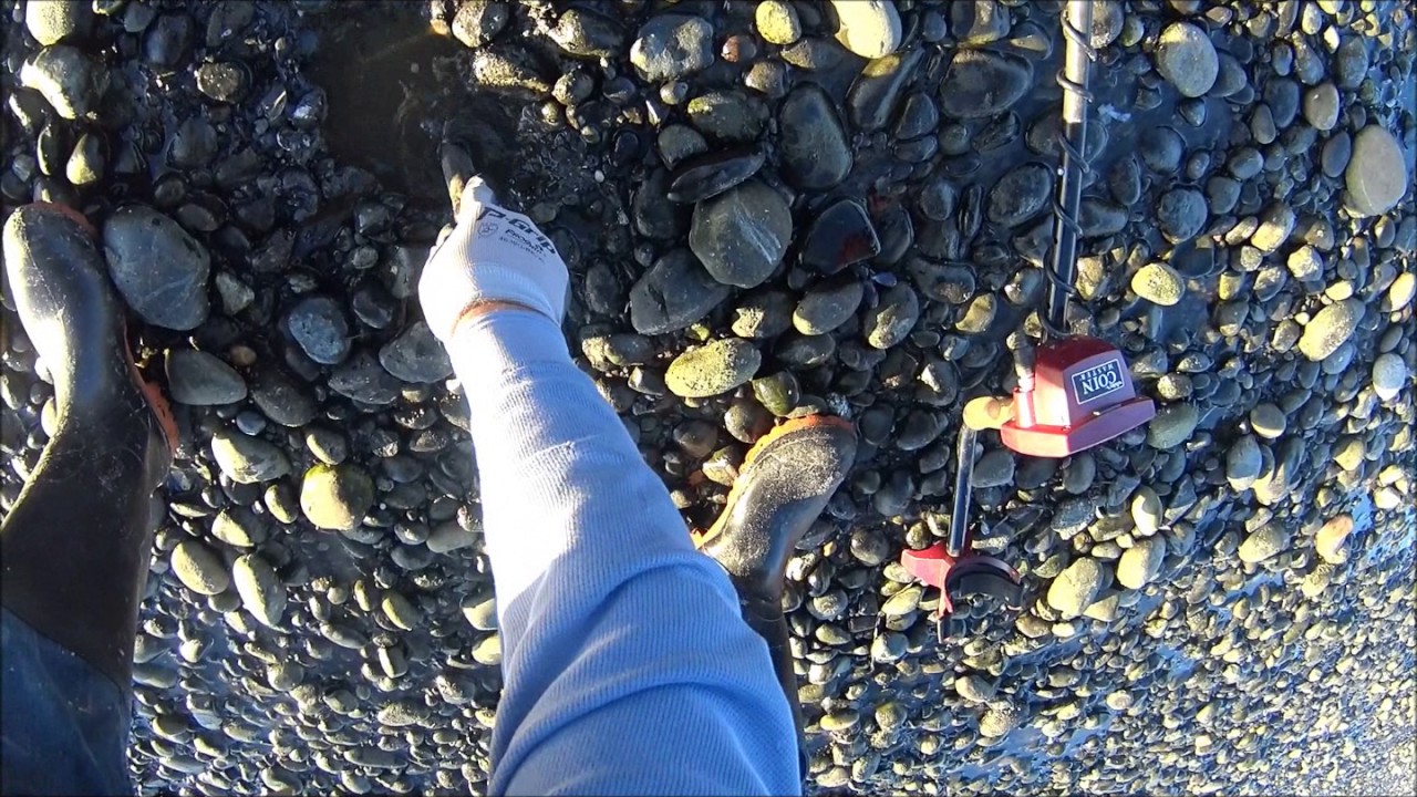 Testing Whites Coinmaster Metal Detector at the Beach