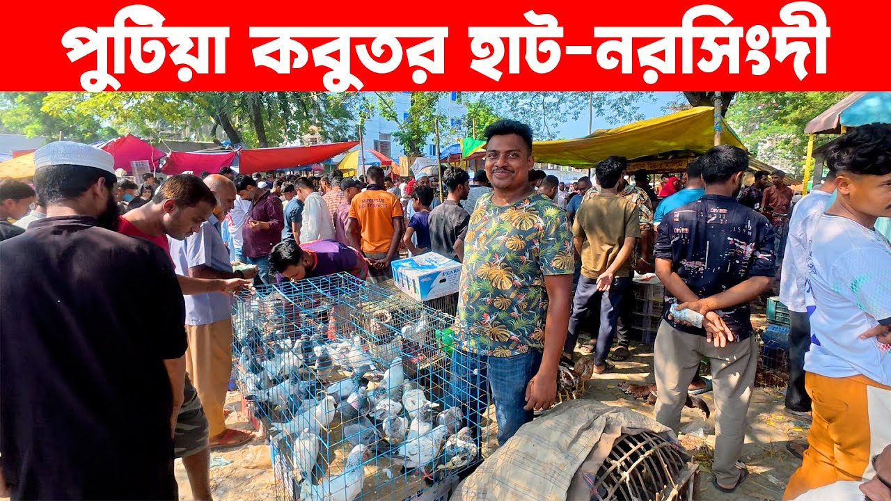 পুটিয়া কবুতর হাট -২০২৫ | Kobutor hat 2025 | Pigeon Market in Bangladesh | Putia Bazar Narsingdi