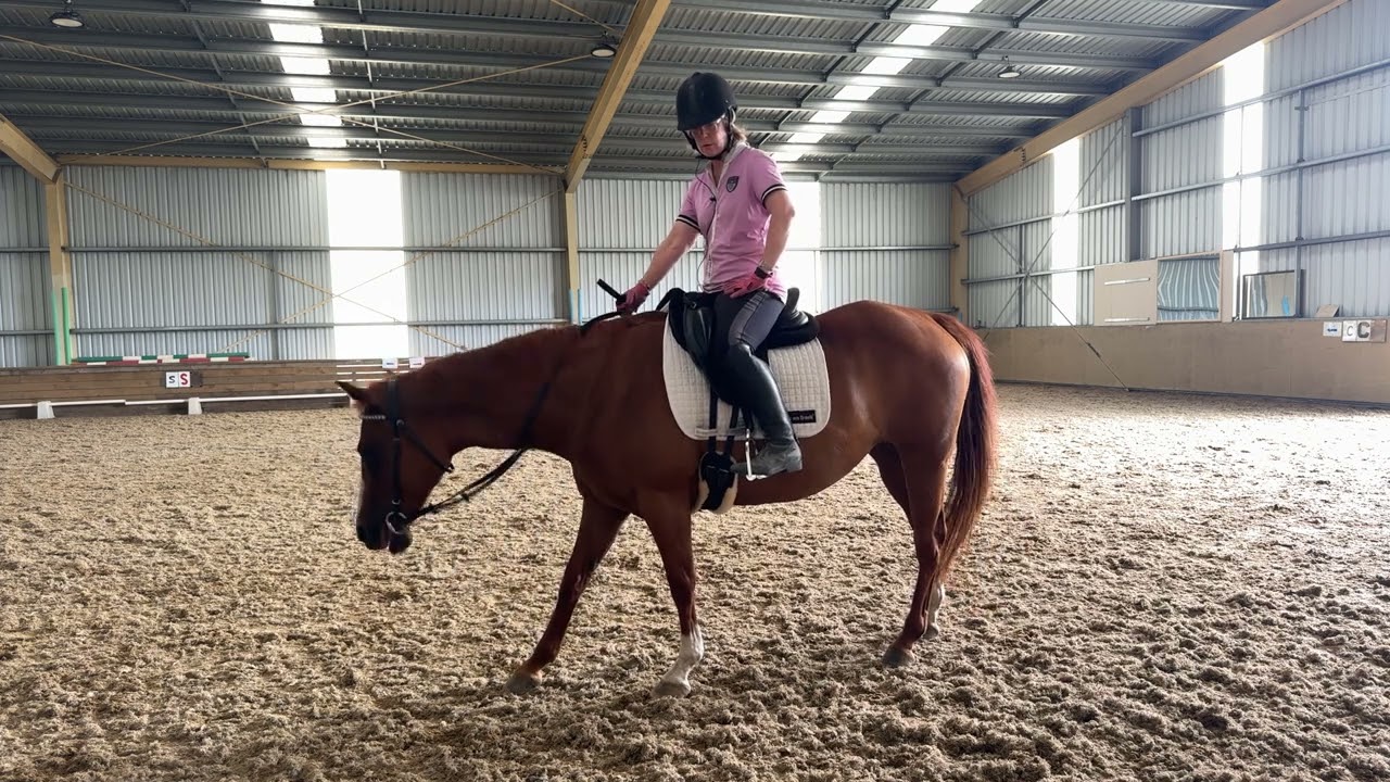 20260213 Polly first lesson with Linda Brown