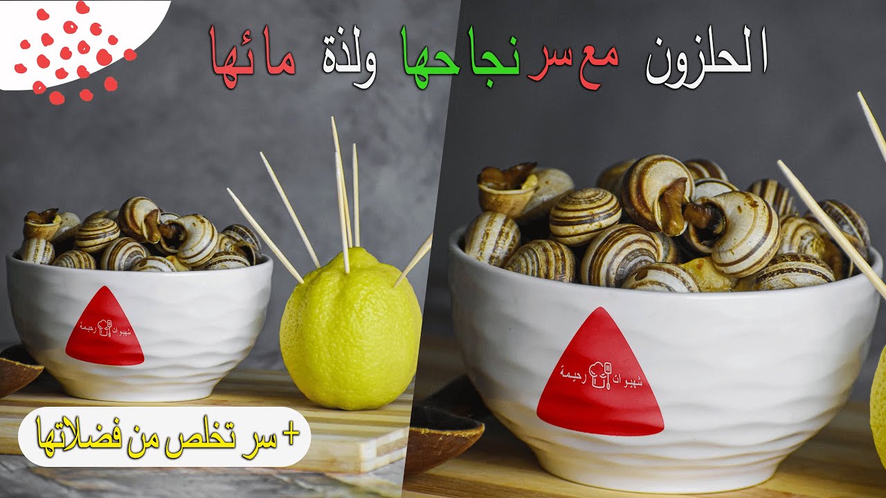 البوبوش🐌(الحلزون) مع سر  نجاحها ولذة مائها +سر تخلص من فضلاتها