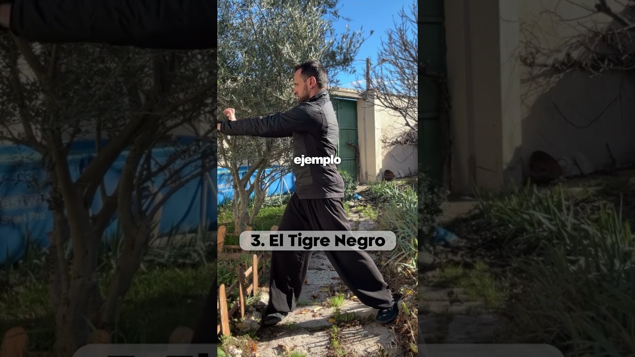 5 EJERCICIOS para REGULAR mi energ&iacute;a interna⚡️