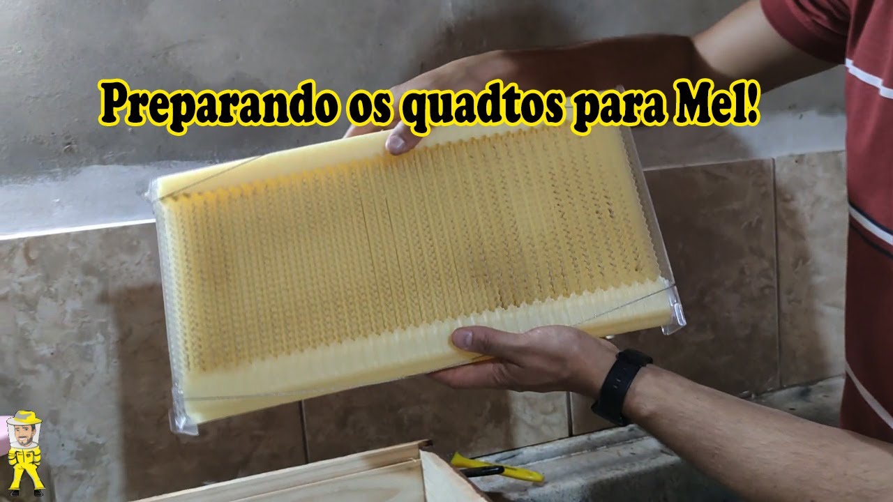 PREPARANDO O QUADRO FLOW HIVE DA COLMEIA AUTOMÁTICA | CRIANDO ABELHAS! P3