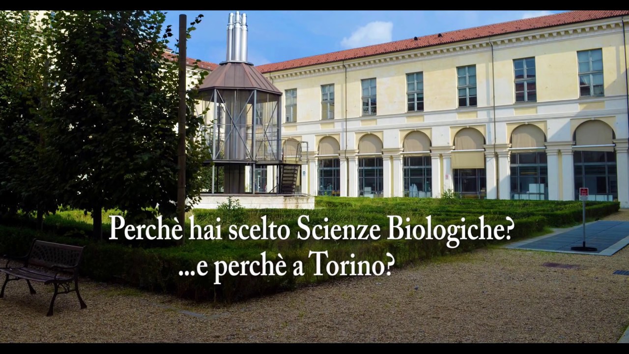 Perchè studiare Scienze Biologiche a Torino?