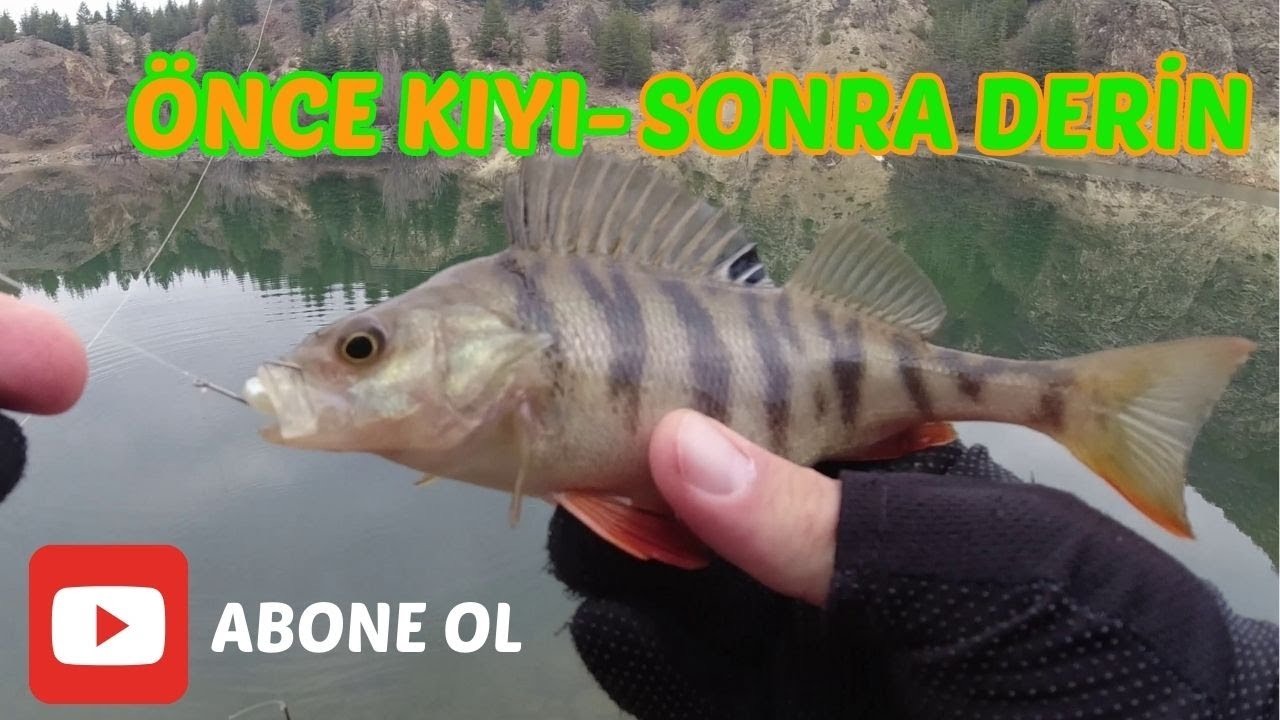 LRF İLE PERCH AVI!!! -ÖNCE KIYIDAN SONRA DERİNDEN PERCHLERİ YAKALADIM-