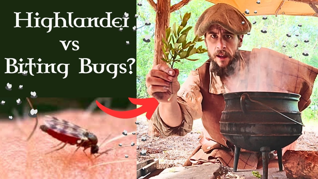 How Highlanders Dealt With Biting Bugs - 4 Midge Survival Tactics from History