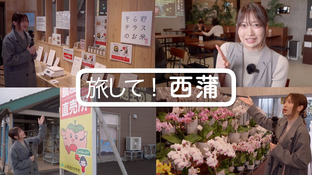 【旅して！西蒲１】/風間仁華　胡蝶蘭とマキシカンライス　苺もおにぎりも！　採れたて野菜　[4K]　新潟県新潟市西蒲区