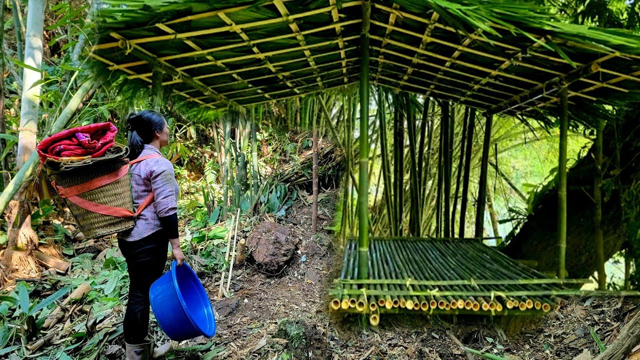 75-Day Challenge: The young woman built a small bamboo hut in the forest to shelter in overnight.