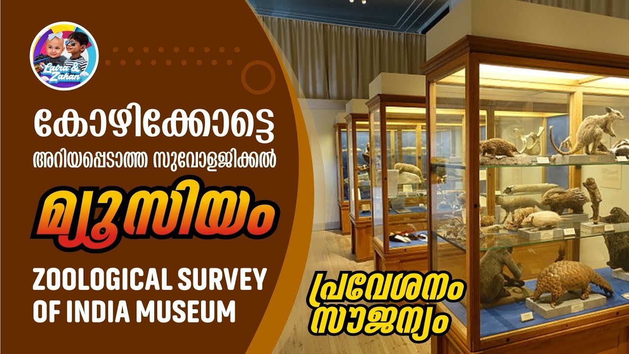 കോഴിക്കോട്ടെ Zoological Museum ടിക്കറ്റില്ലാതെ കാണാം I Zoological Survey of India  Kozhikode City