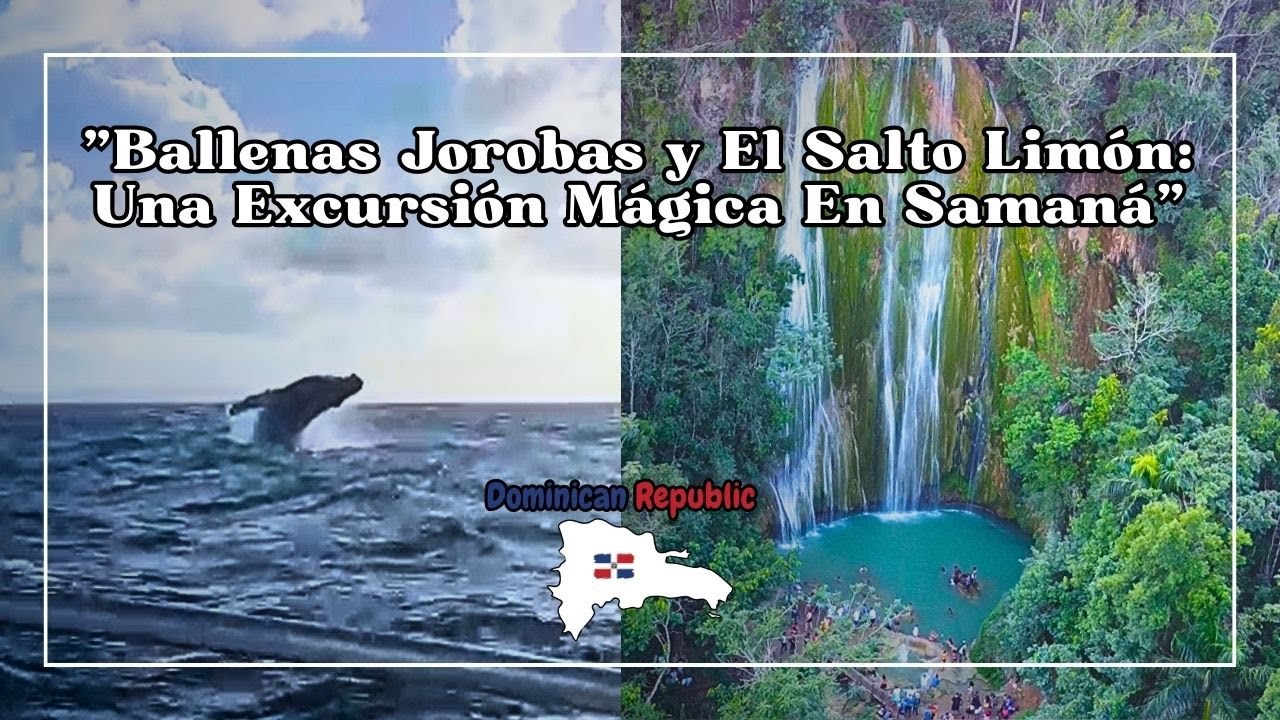 Aventura inolvidable en Saman&aacute;: Ballenas jorobadas y El Salto Lim&oacute;n, la cascada m&aacute;s hermosa