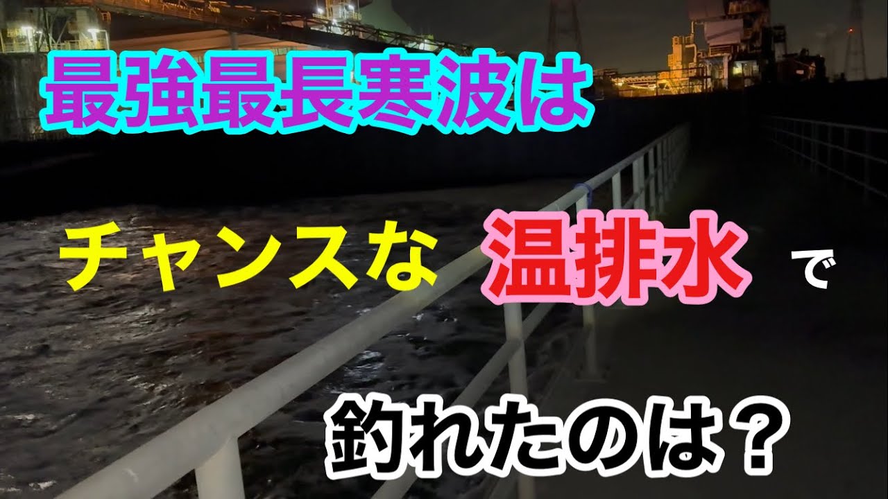 最強最長寒波はチャンスな温排水で釣れたのは？知多半島 知多湾