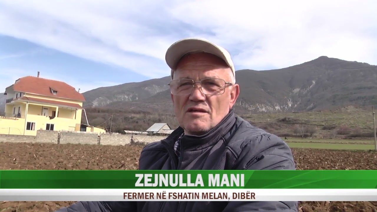 Dibër, fermeri ankohet nga bujqësia: nuk na përgjigjet askush