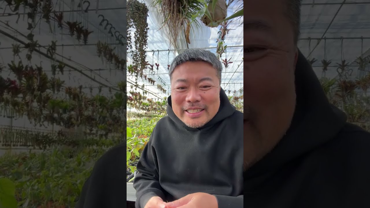 今日も植えながら