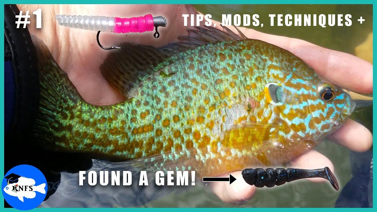 How to Catch Common Sunfishes Pt. 1 | Weighted Jig Head & Soft Plastic + Basic Gear